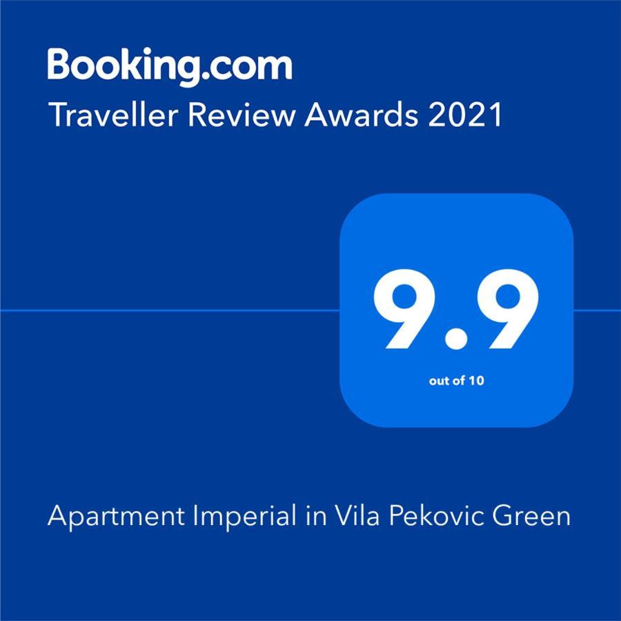 Apartment Imperial In Vila Pekovic Green Zlatibor Extérieur photo
